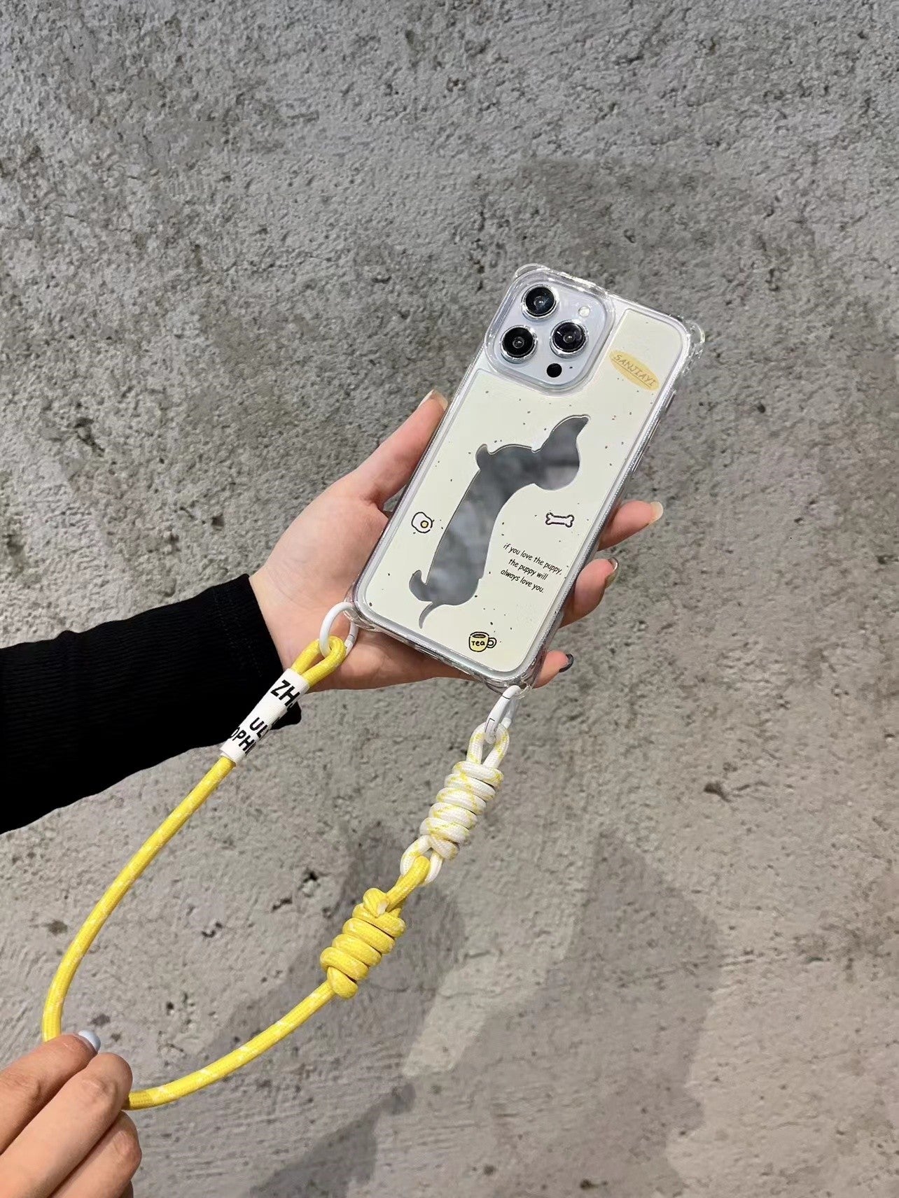 Dachshund Dog Mirror Strap Phone Case